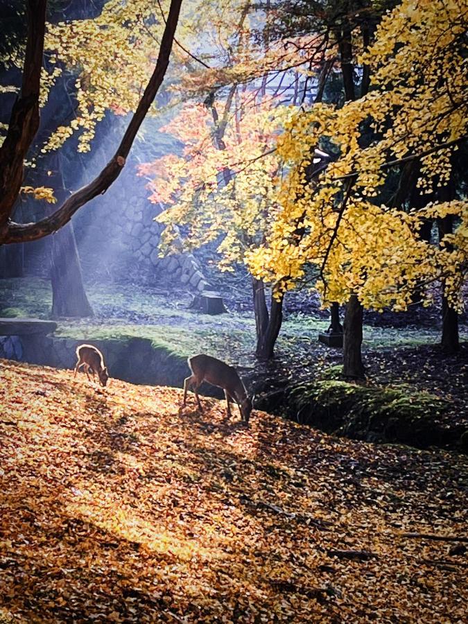 Nara Park Blue Sky Villa Buitenkant foto